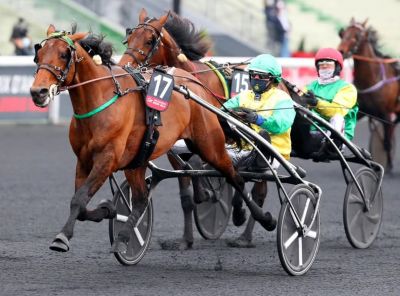 Résultat du Prix d'Amérique 2021